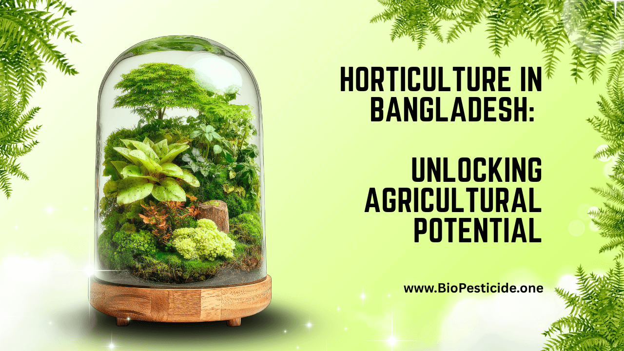 Horticulture in Bangladesh Unlocking Agricultural Potential
