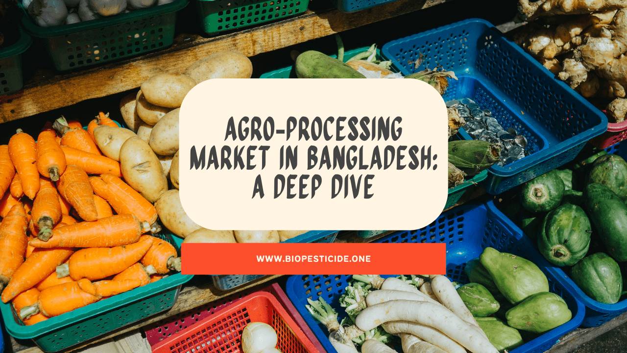 Agro‑Processing Market in Bangladesh A Deep Dive