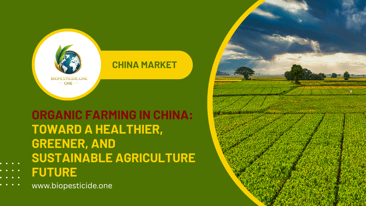 Organic Farming in China: Toward a Healthier, Greener, and Sustainable Agriculture Future