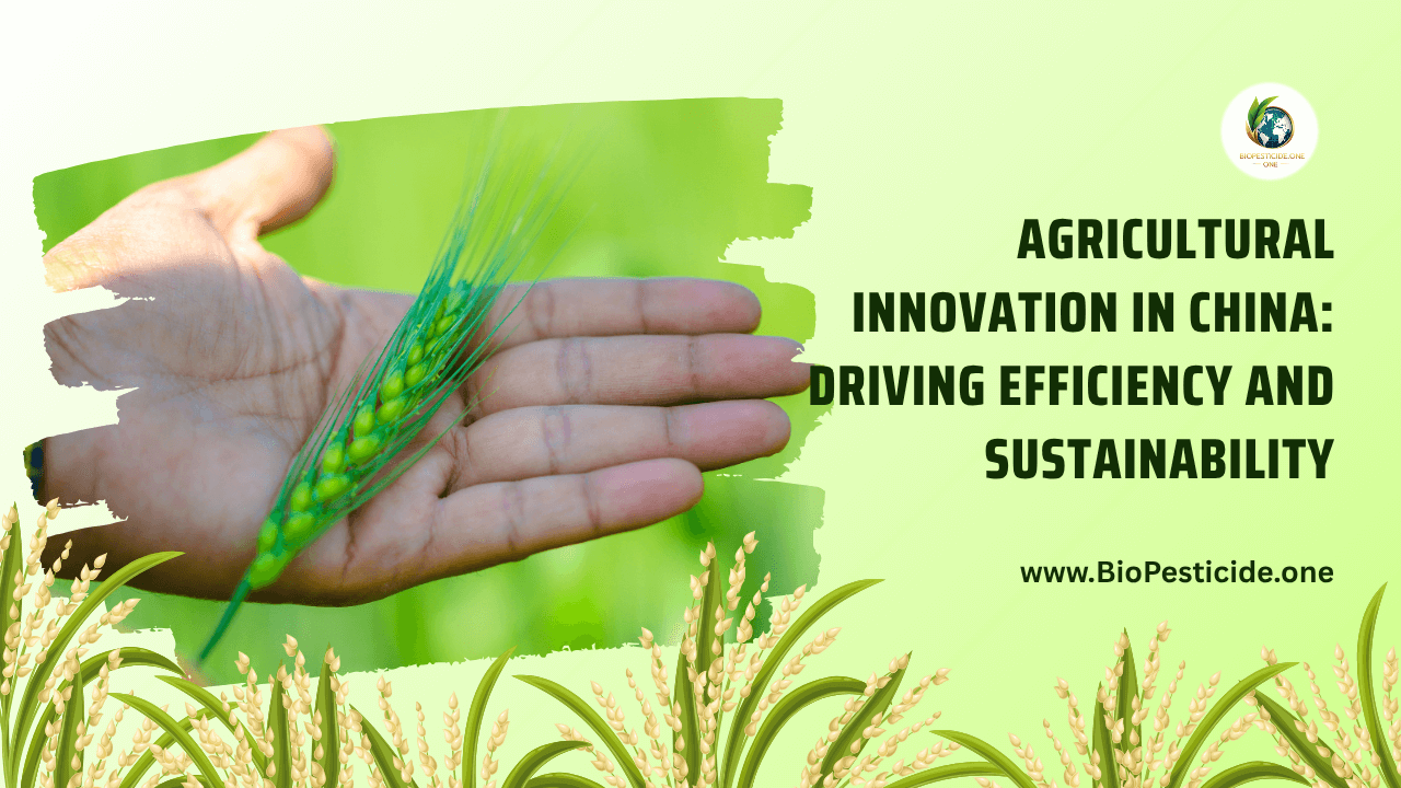 Agricultural Innovation in China Driving Efficiency and Sustainability