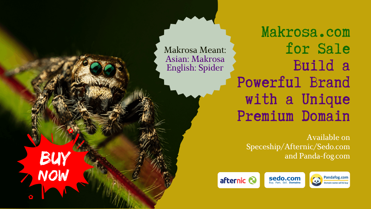 A Name Can Tell a Story Why Makrosa.com Stands Out in the Digital World